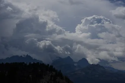 DSC_3111 (Large).JPG